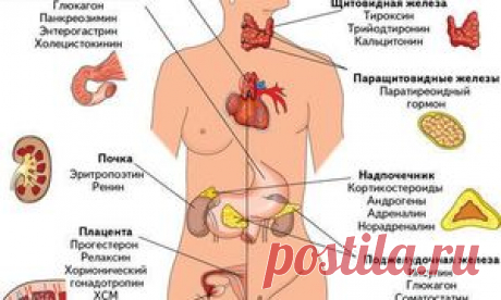 Потрясающее средство омоложения всех тканей организма! | Golbis