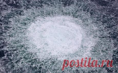 Захарова ответила на выводы Швеции по «Севпотокам» фразой о деликатности. Представитель МИДа предположила, что Стокгольм «стесняется назвать вещи своими именами» и «опасается грядущих находок». Шведская сторона после расследования подтвердила подозрения в «серьезном саботаже» на газопроводах