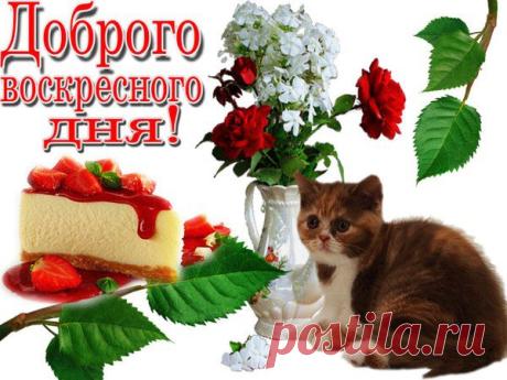 Татьяна Боровина
