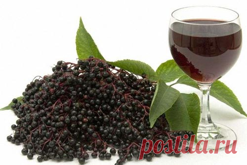 Ликеры домашнего приготовления: простые рецепты