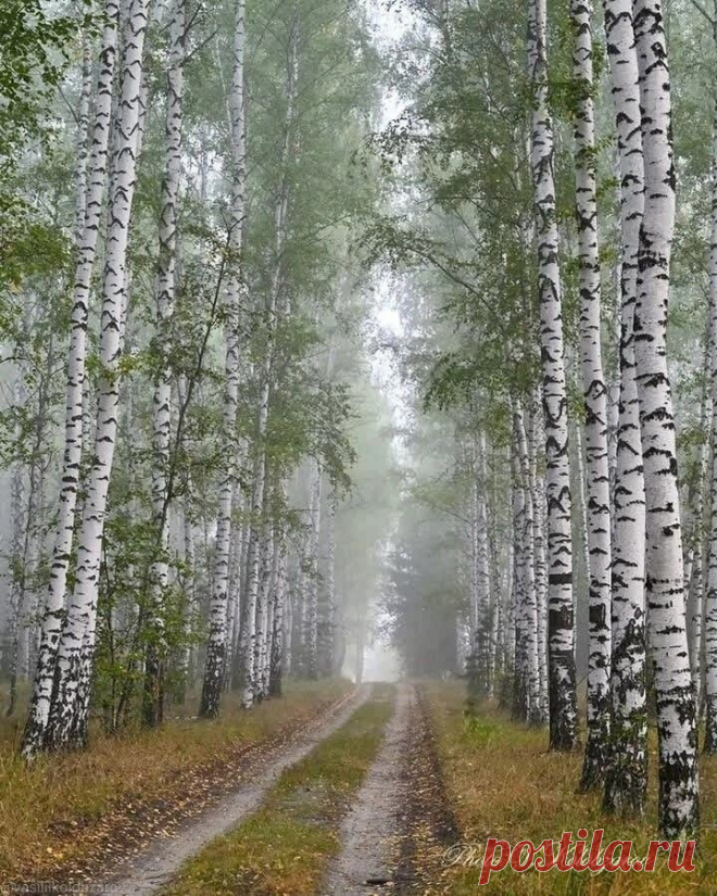 i (720×900)