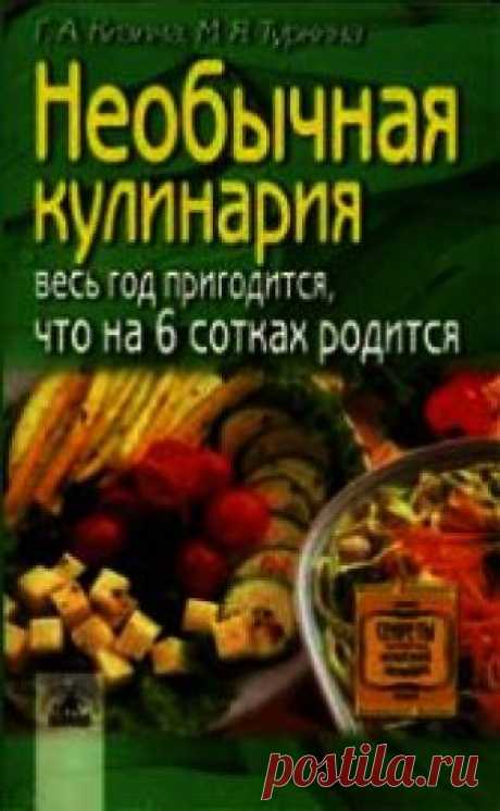 Книга Необычная кулинария. Весь год пригодится, что на 6 сотках родится - читать онлайн - Страница 2. Автор: Кизима Галина Александровна. Рецепты на любой вкус Читайте книгу Необычная кулинария. Весь год пригодится, что на 6 сотках родится автора Кизима Галина Александровна - страница 2 на нашем сайте receptmania.ru