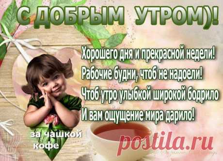 Доход в Интернете
#интернет_бизнес #настроени #позитив
Всем доброго утра!!! С началом недели! Пусть день будет наполнен позитивом!!!!!)))