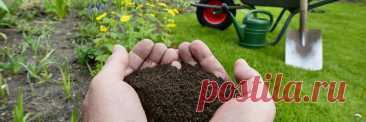 Возвращаем почве плодородие - Как подготовить огород к весне