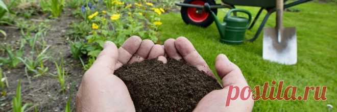 Возвращаем почве плодородие - Как подготовить огород к весне