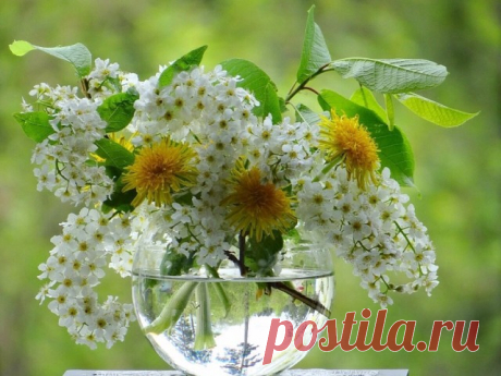 Сколько Красоты в том, что зовется Мелочами...
Эрих Мария Ремарк