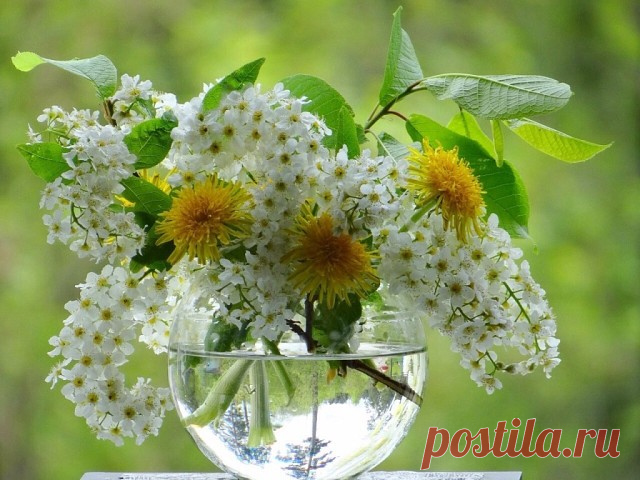 Сколько Красоты в том, что зовется Мелочами...
Эрих Мария Ремарк