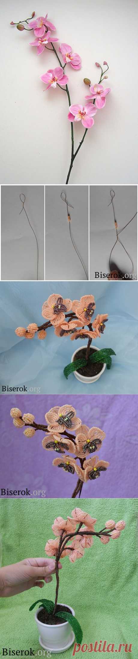 &quot;Orchid Bead&quot; Орхидея из бисера / Цветы / Biserok.org
