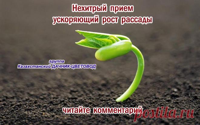 прорастание некоторых семян, становится  очень долгим