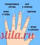 Проблемы со здоровьем, о которых расскажут лунки на ногтях!