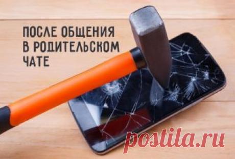 Как 5-й «в» фанеру выбирал. Один эпизод из жизни родительского чата Зощенко не дожил, а жаль…