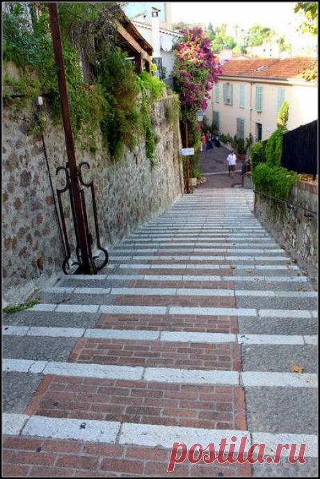 Лазурный берег, Канны. | Фотографии Светлана Верхошинская | 8083 фото