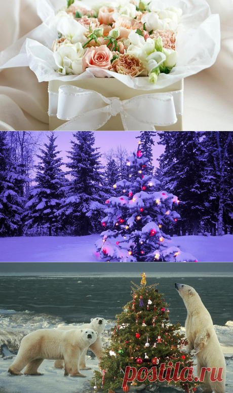 Подарки под елкой обои на рабочий стол. Картинки подарки под елкой-2