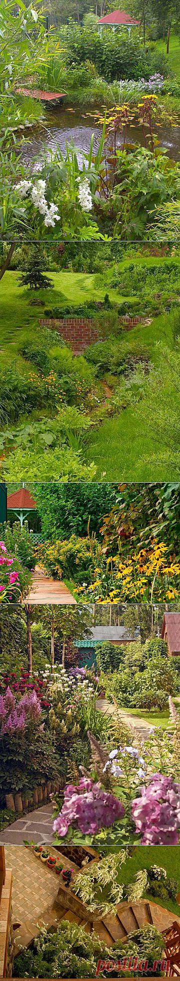 Сад в пос. Глухово.