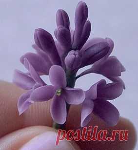 Холодный фарфор "букет сирени" - Лепка