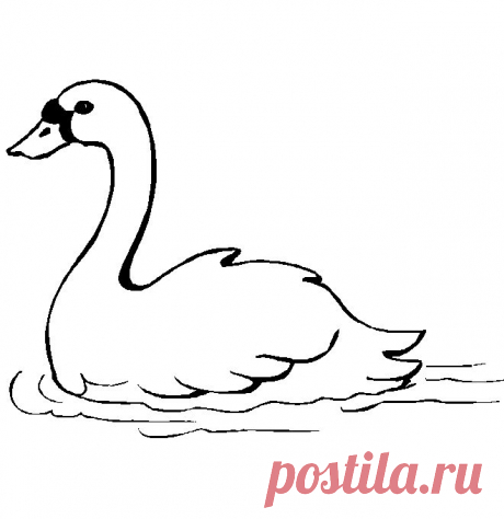 Картинки для аппликации!