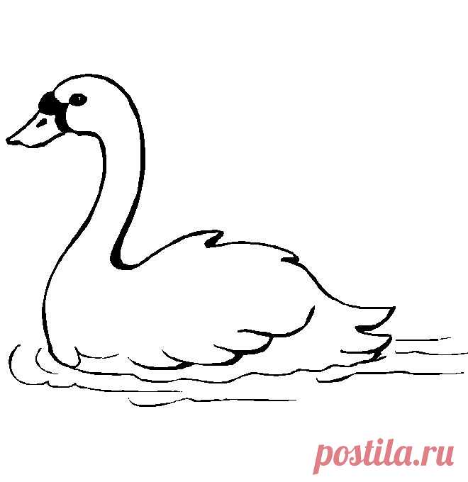 Картинки для аппликации!