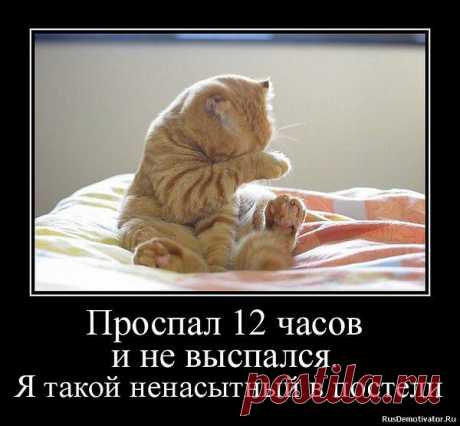 Интересные новости