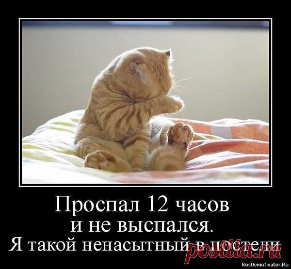Интересные новости