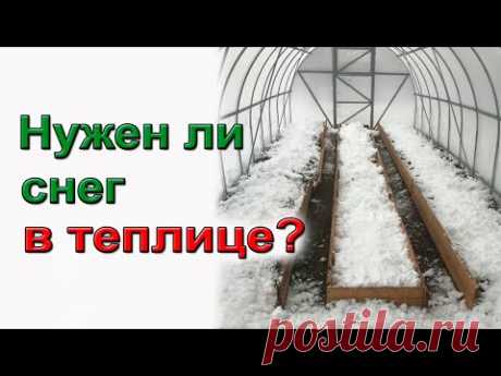 Снег в теплицах.  Польза или вред?