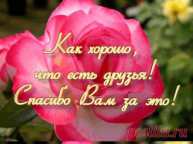 Друзья! Спасибо вам за поздравления!  
Спасибо Вам за тёплые слова...
От пожеланий кругом голова!
И пусть из них исполнится хоть доля,
То, всё равно, останусь я довольна!

Пусть к тем, кто в этот день душою был со мною
Жизнь повернётся лучшей стороною!
Все пожеланья ваши сохраню,
Мои друзья, за всё благодарю!  (F) (F) (F)