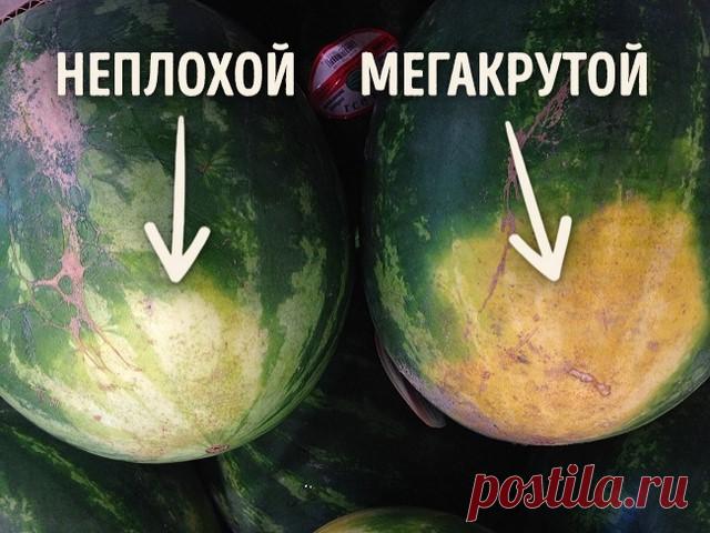 Как выбрать арбуз по земляному пятну
Земляное пятно укажет, как долго ваш арбуз пробыл на земле, то есть дозревал. Если оно белое, то арбуз скорее всего дозревал уже в другом месте. У спелого арбуза земляное пятно будет желтого, оранжевого и даже коричневатого цвета.