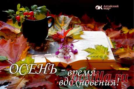 ОСЕННИЕ МОТИВЫ
