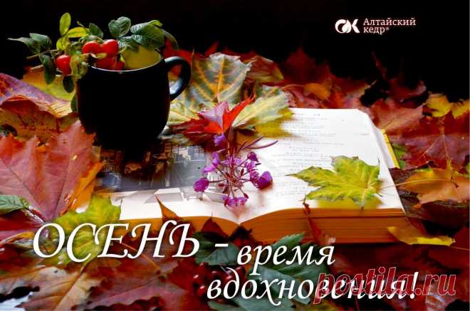 ОСЕННИЕ МОТИВЫ