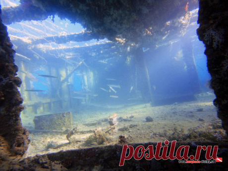 Дайвинг в Хургаде | Фотогалерея | Wreck Balena | Верхняя палуба