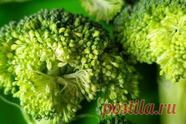 Что такое лютеин и как проявляется его дефицит?. Что такое лютеин и для чего он нужен? Как проявляется дефицит лютеина и как можно его восполнить.