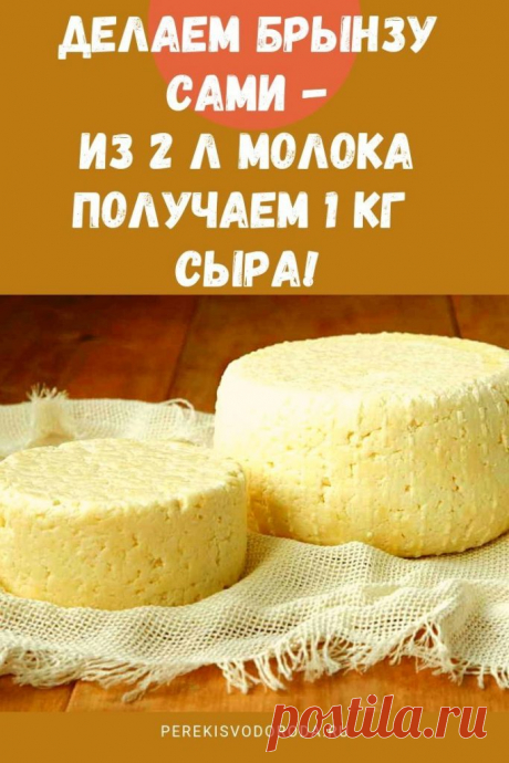 Делаем брынзу сами: из 2 л молока получаем 1 кг сыра! - Упражнения и похудение