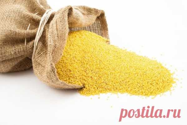 Чем полезна пшенная крупа - himtrans34.ru На стоянках древнего человека были обнаружены остатки очищенного проса – пшённая крупа. Пшённая каша или пшённая похлёбка с молоком, растительным маслом или салом была основной