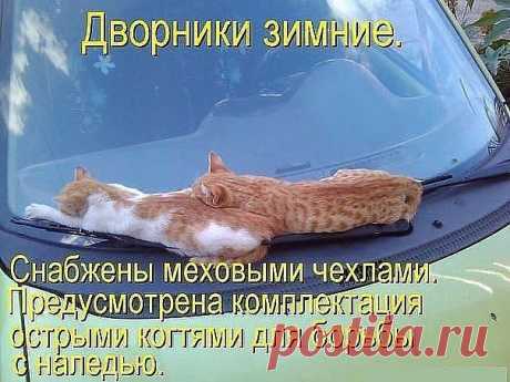 Сплошной пАзитиФФ
44 года, Украина, Кривой Рог