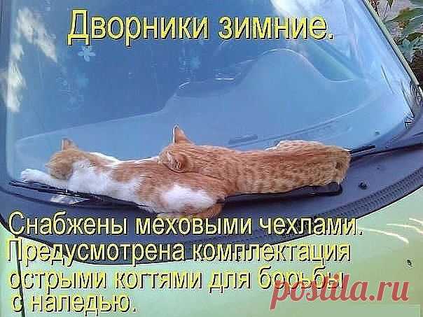 Сплошной пАзитиФФ
44 года, Украина, Кривой Рог