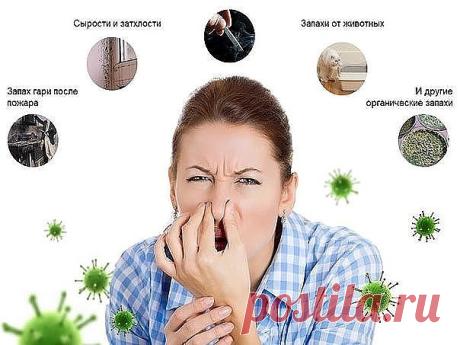 100 СОВЕТОВ НА ВСЕ СЛУЧАИ ЖИЗНИ!

РЕМОНТ КВАРТИРЫ

1. Гвоздь легко вбивается, если его острие окунуть в растительное масло.
2. Если в раствор цемента добавить сахар, он станет значительно крепче.
3. Алебастр, разведенный молоком, дольше застывает - им легче заделывать щели щеткой.
4. Если щетка для масляных работ очень жесткая, нужно на 1 минуту опустить ее в кипящий уксус.
5. Помещение, которое только что оклеили обоями, несколько дней нельзя проветривать, иначе обои начн...
