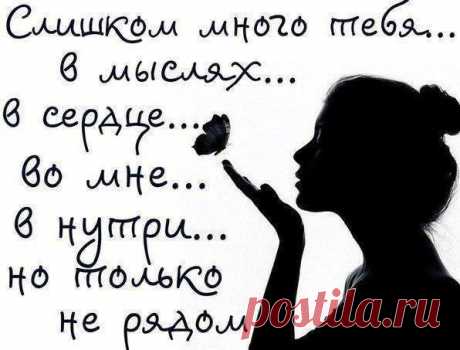 Ташка @@@ - Иваново, Ивановская обл., Россия на Мой Мир@Mail.ru