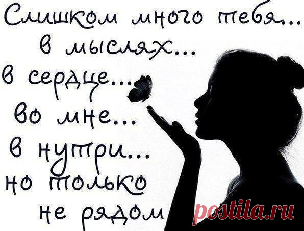 Ташка @@@ - Иваново, Ивановская обл., Россия на Мой Мир@Mail.ru