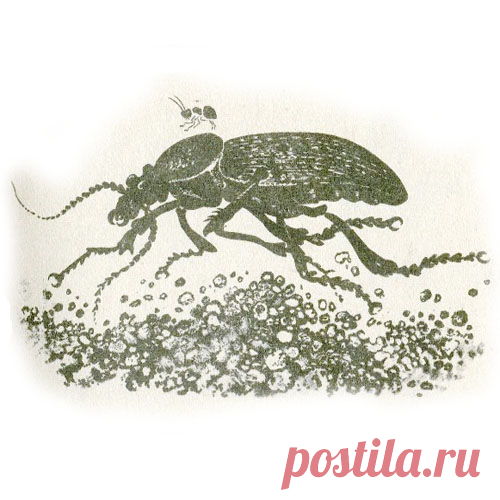 ПРИКЛЮЧЕНИЯ МУРАВЬИШКИ