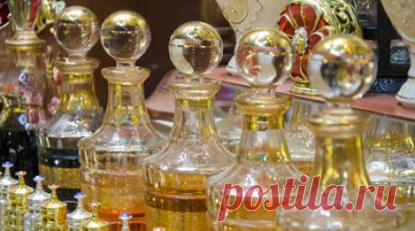 Москвичам предложат выбрать ароматы для трёх вокзалов и ТПУ «Деловой центр». В Москве продолжается ароматизация транспортных объектов. Парфюмеры разработали десять вариантов ароматов для трёх автовокзалов — «Центральный», «Саларьево» и «Северные Ворота», а также для ТПУ «Деловой центр» и эскалаторной галереи на Воробьёвых горах. Читать далее