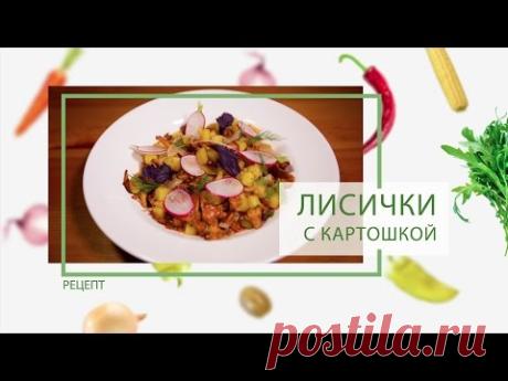Лисички с картошкой от Василия Емельяненко