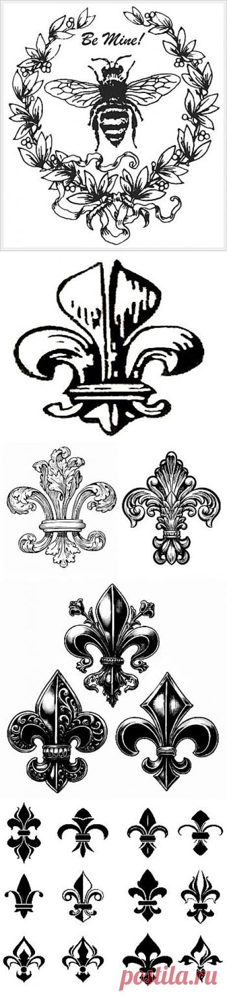 Перенос изображения при помощи спц. прибора.