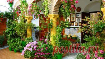 patios cordobeses interiores bonitos - Buscar con Google