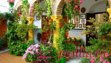 patios cordobeses interiores bonitos - Buscar con Google