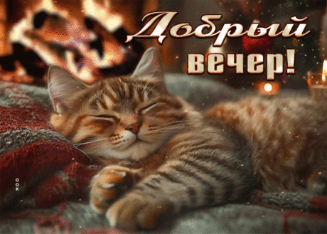 Утончённая гиф-открытка, пусть вечер пройдет по-доброму