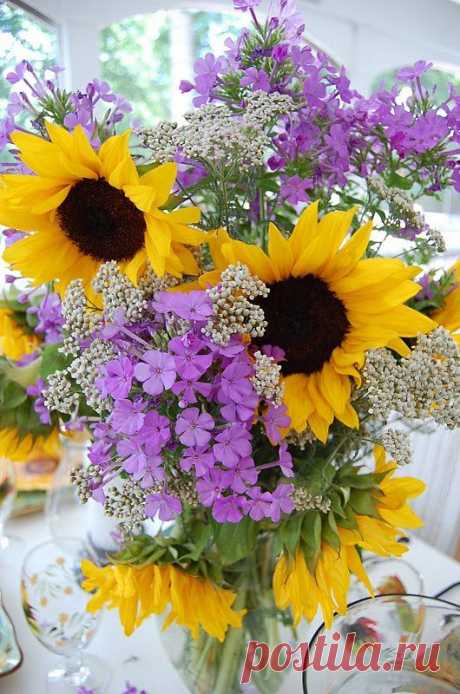 Sunflower Celebration