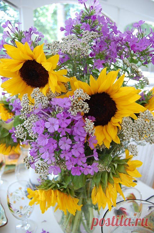 Sunflower Celebration