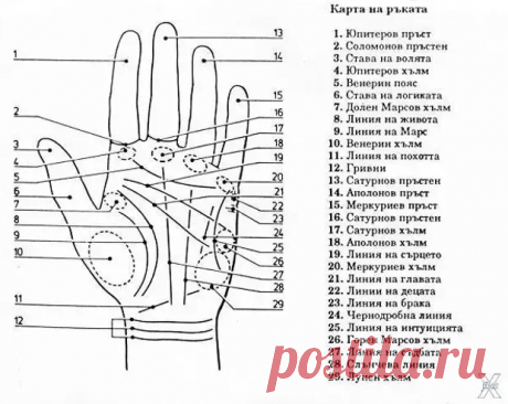 Хиромантия и наука о наследственности - Друзья - 8 января - 43804801950 - Медиаплатформа МирТесен