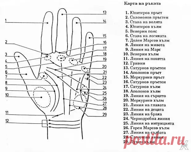 Хиромантия и наука о наследственности - Друзья - 8 января - 43804801950 - Медиаплатформа МирТесен