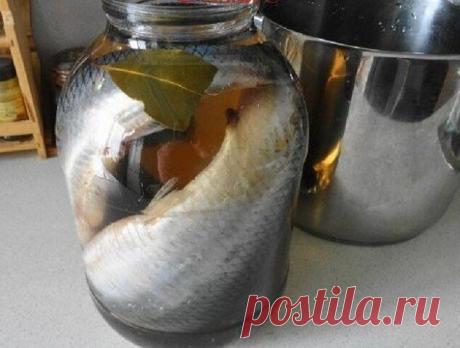 Прелестнейшая селедка в банке

Для рассола надо взять:
- 2 литра воды
- 6 столовых ложек соли
- 2 столовые ложки сахара
- перец горошком и лавровый лист.

Довести до кипения и остудить.

Закрываем крышкой и убираем в холодильник. Через три дня у нас готова нежная малосольная селедочка. Чем больше она лежит в рассоле, тем более становится похожа на рыбку настоящего бочкового посола. Для шубы и прочих салатов лучше не найти!