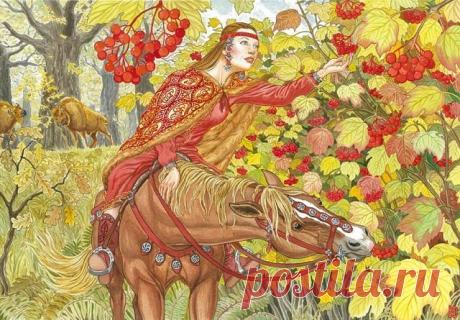 ПРО КАЛИНУ.

В осенней сини соколиной,
Как будто кровью облита,
Стоит шукшинская калина
Среди нескошенных отав…

Г. Буравкин

Каждый, кто в детстве читал русские народные сказки, помнит, как Илья Муромец и Добрыня Никитич побивали своих врагов на Калиновом мосту. Если же кому не довелось прочесть об этом, то в более зрелом возрасте он вполне вероятно познакомился с песнями одной из лучших современных рок-групп – «Калиновым мостом» из Новосибирска. А про «калинку-малинку» н...